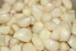 peeled garlic cloves in January at garlic goodness growing natural garlic and seasonal vegetables in red deer county ab